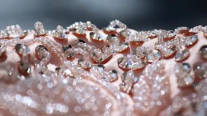 beadwork, silk embroidery, sequins, biedermeier, pink fabric, elegant, satin, silk fabric, luxury, luxurious, noble, elegance, baroque, opulent, shimmering, sparkling, glitter, feminine, sequins, sequins, satin, satin, satin, satin, satin, silk fabric, silk fabric, luxury, baroque, opulent, shimmering, glitter